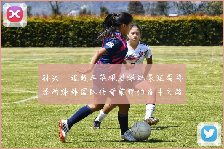 孙兴慜追赶车范根进球纪录距离再添两球韩国队传奇前锋的奋斗之路